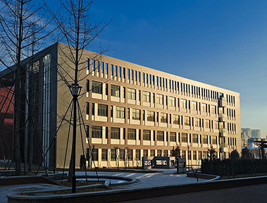 Portfolio Image